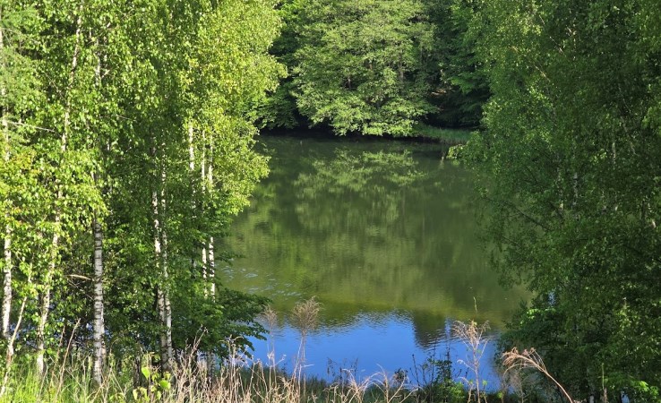 działka na sprzedaż - Koronowo (gw), Tryszczyn