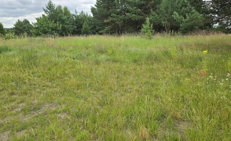 działka na sprzedaż - Bydgoszcz, Fordon, Tatrzańskie