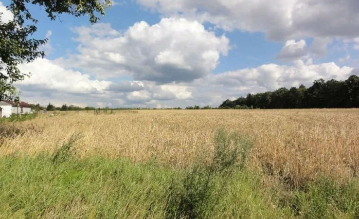 działka na sprzedaż - Koronowo (gw), Tryszczyn