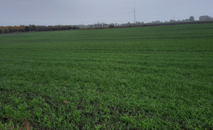 działka na sprzedaż - Sicienko