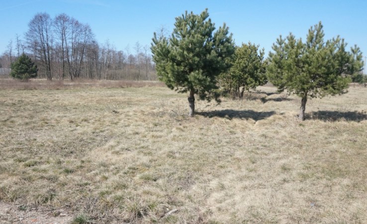 działka na sprzedaż - Nowa Wieś Wielka, Prądocin