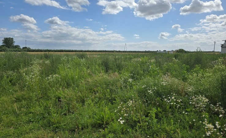 działka na sprzedaż - Sicienko, Mochle
